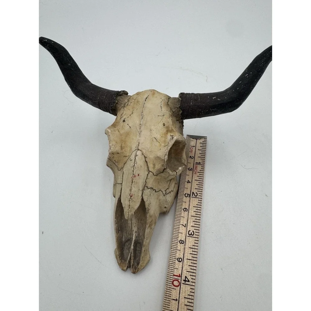 Small Resin Faux Skull With Horns